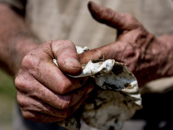 Guy Moore wipes his hands off after a day of working in the filed and fixing equipment that broke while he was working June 18, 2014, at Larriland Farm, Md. The farm is run primarily by family members and some migrant workers. Photo: SrA Dennis Sloan, U.S. Department of Defense Current Photos on Wikimedia Commons.