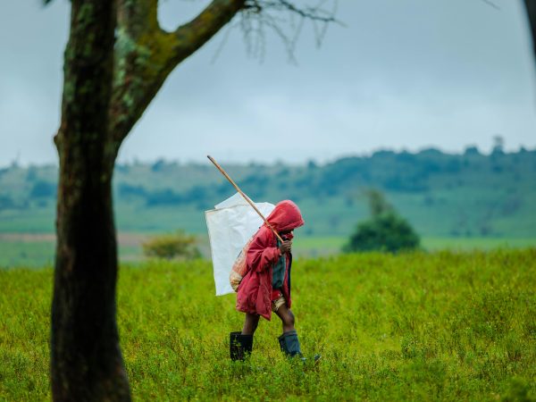 Child Walking in Lush Green Field with Backpack. Photo: Alex Gamaliel on Pexels.