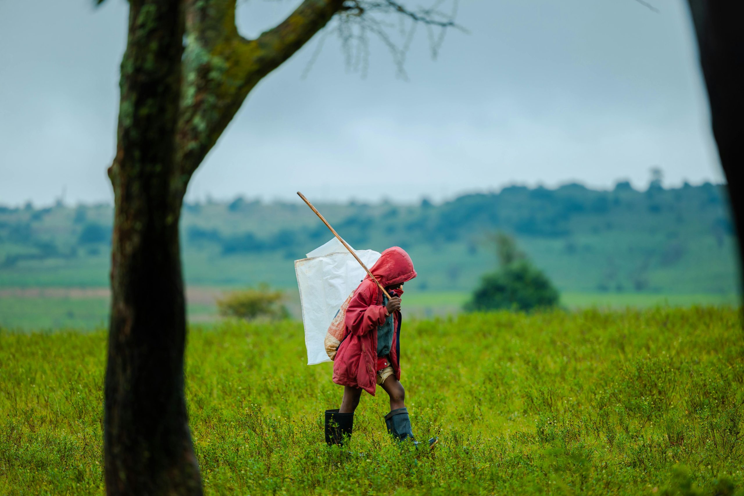 Child Walking in Lush Green Field with Backpack. Photo: Alex Gamaliel on Pexels.