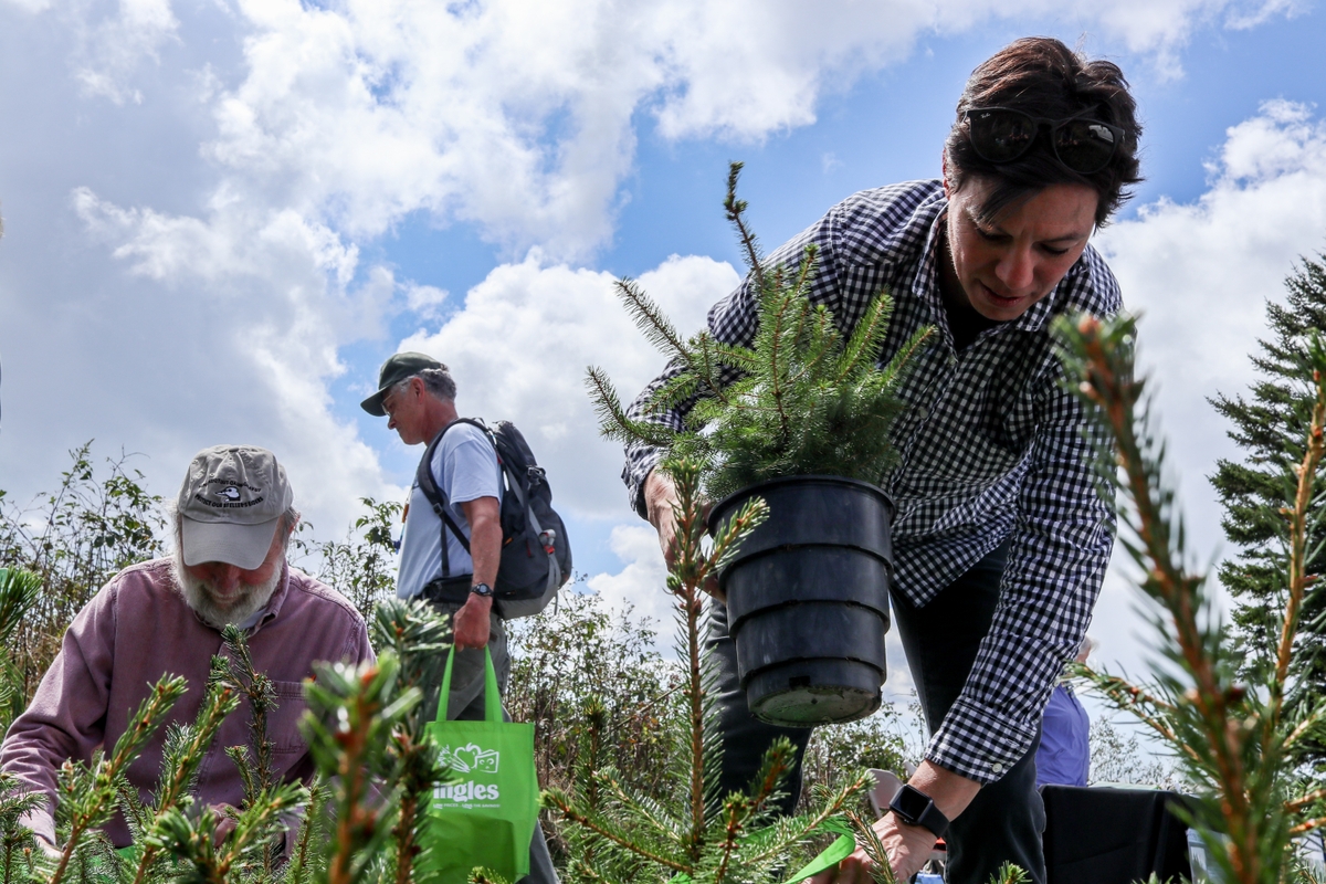 Illustration (Photo: U.S. Fish and Wildlife Service / Rawpixel)