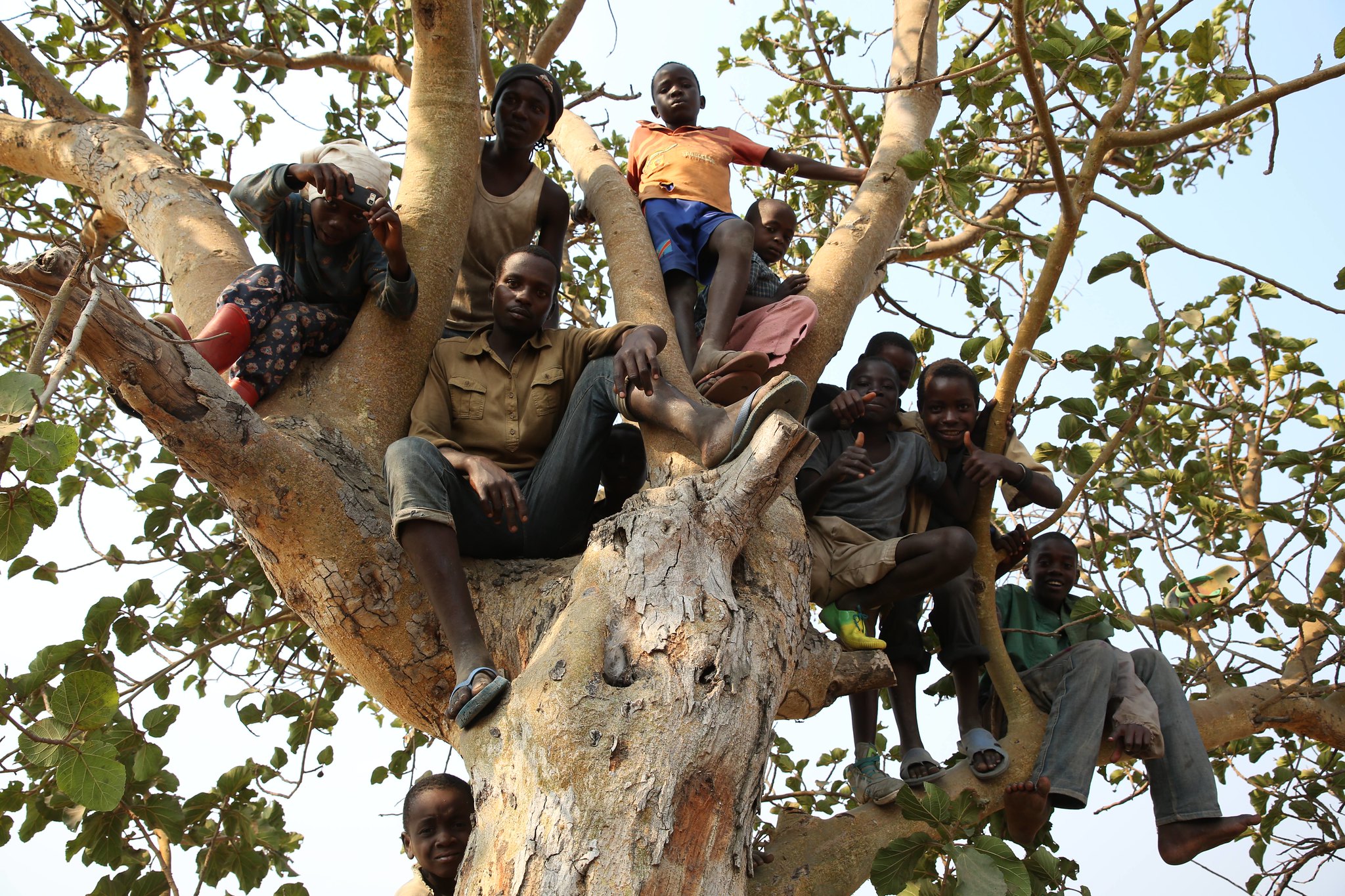 Burundian refugees children on tree. Photo source: MONUSCO Photos / Abel Kavanagh / Flickr, CC BY-SA 2.0