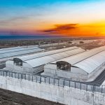 venezuela prison