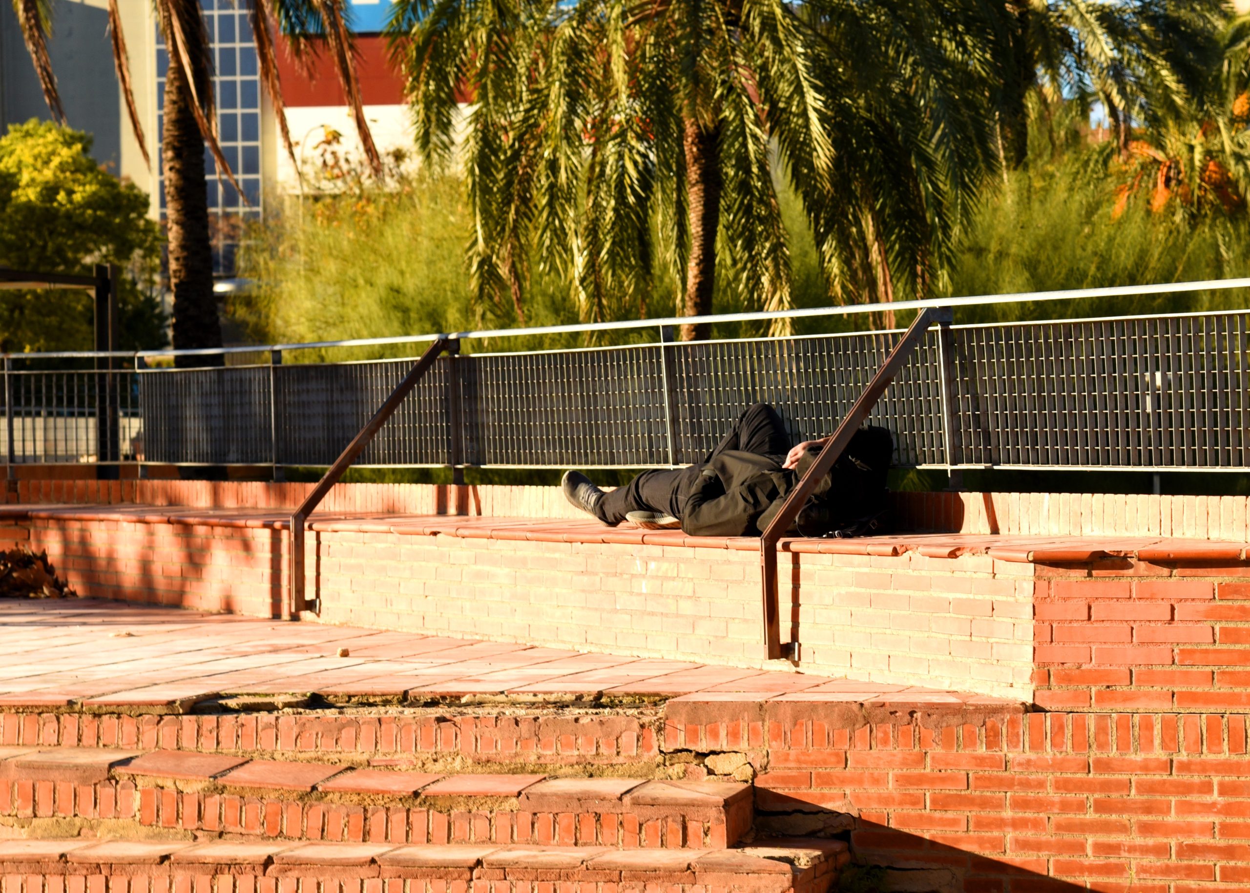 Migrants asleep on a bench in Valencia Park, Spain. Photo source: Maksim Safaniuk / Shuterstock.